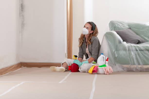 Reliable Mold Remediation contractor in Belmont, MI by Mold Remediation HQ